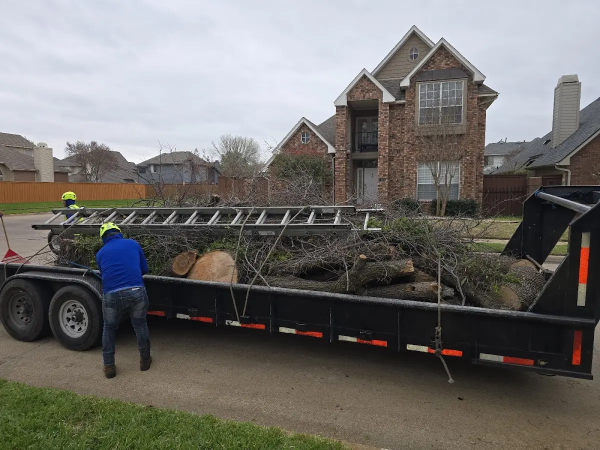 Expert Tree Removal with proper safety equipment in Harpswell